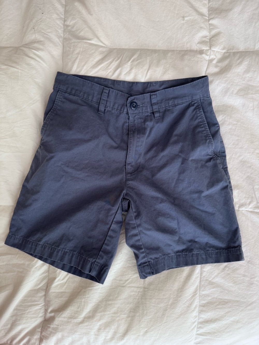 Patagonia Men’s Size 28 Organic Cotton Shorts Blue